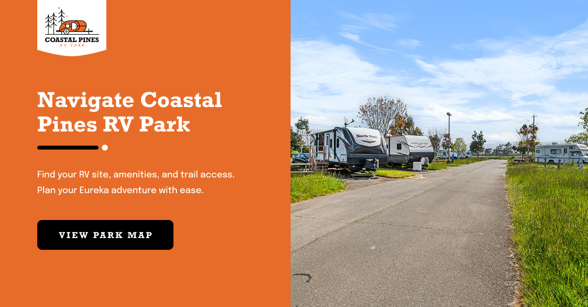 Park Map | Coastal Pines RV Park
